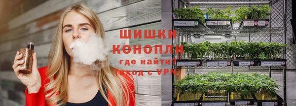 эйфоретик Гатчина