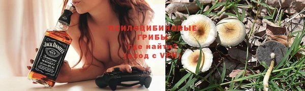 индика Абдулино
