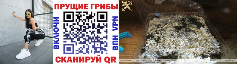 Псилоцибиновые грибы GOLDEN TEACHER  Карачев 